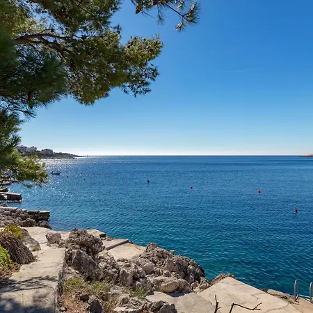 Rosemary 4m * Ražanj