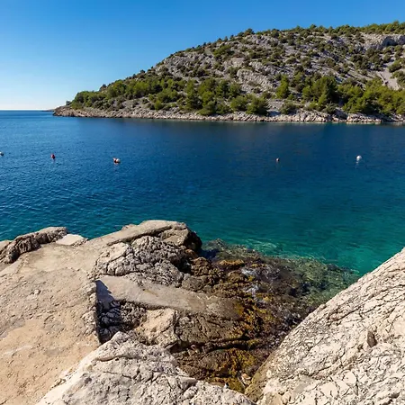 Rosemary 4m * Ražanj