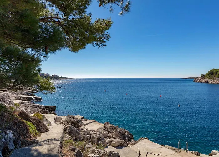 Rosemary 4m * Ražanj