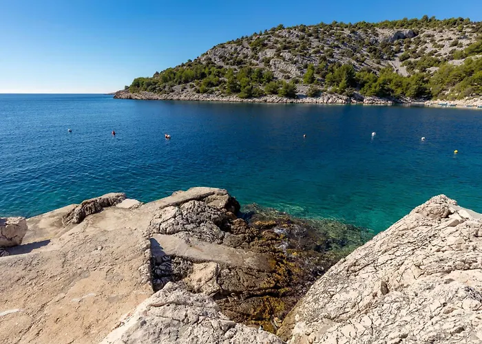 Rosemary 4m * Ražanj